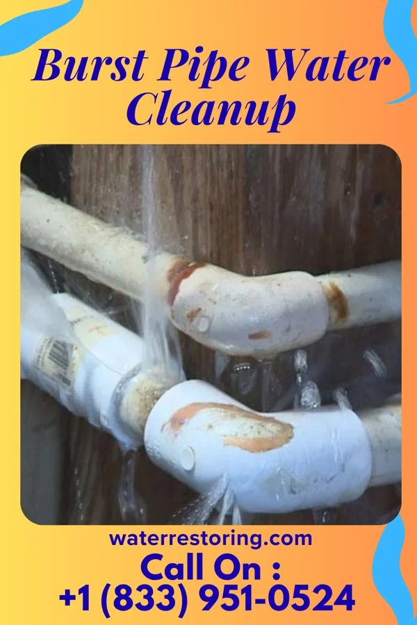Burst Pipe Water Cleanup in Benton Ridge, OH