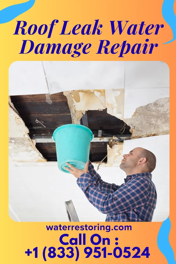 Roof Leak Water Damage Repair in Benton Ridge, OH