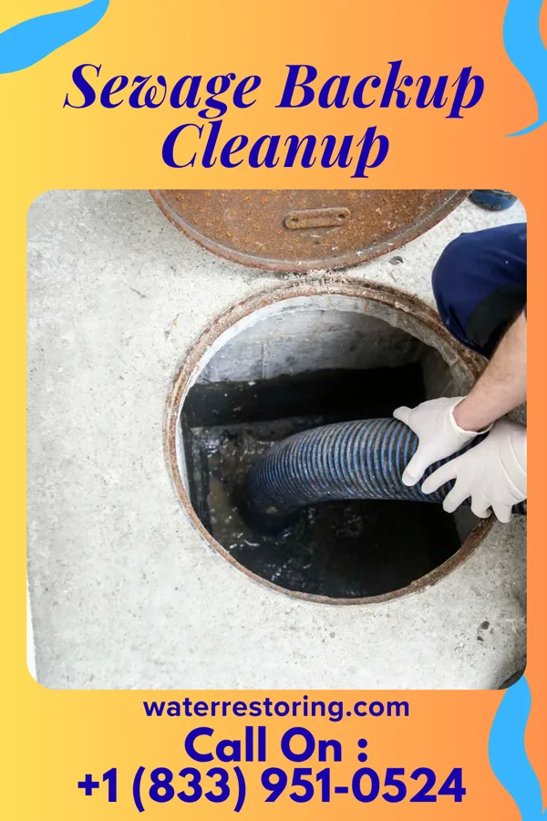 Sewage Backup Cleanup in Benton Ridge, OH