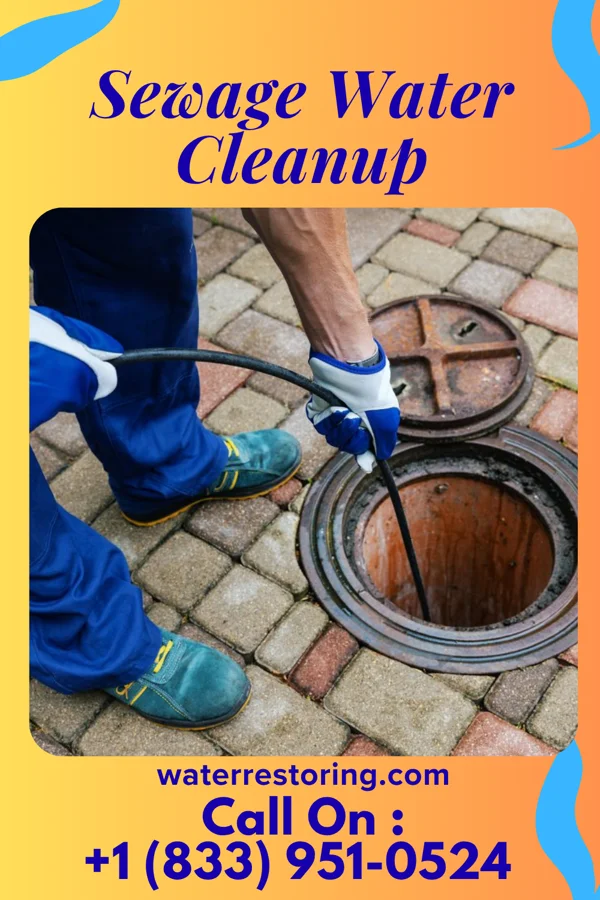 Sewage Water Cleanup in Benton Ridge, OH