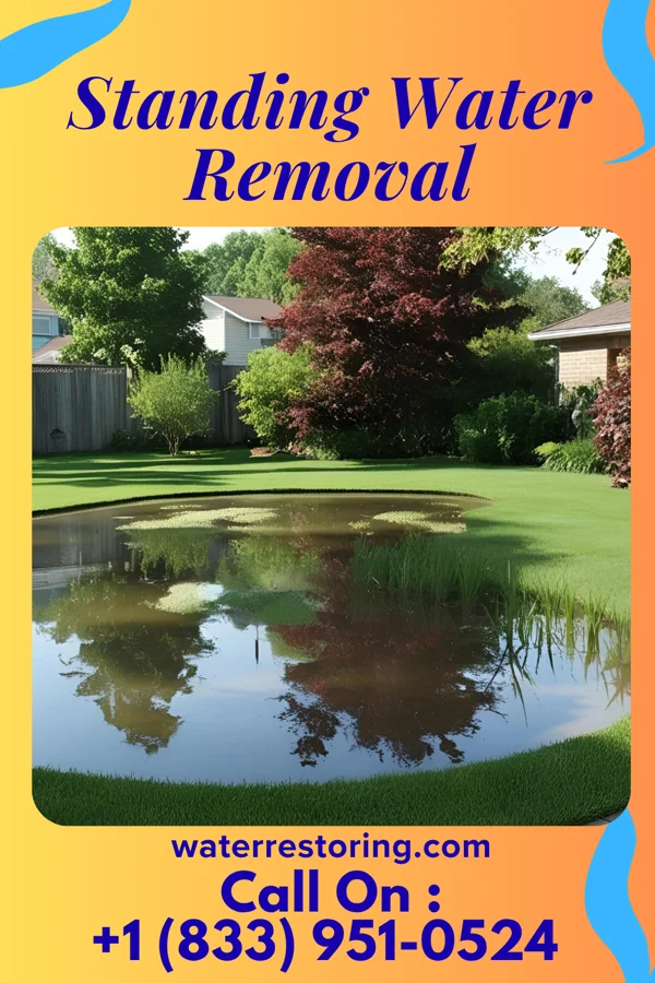 Standing Water Removal in Benton Ridge, OH